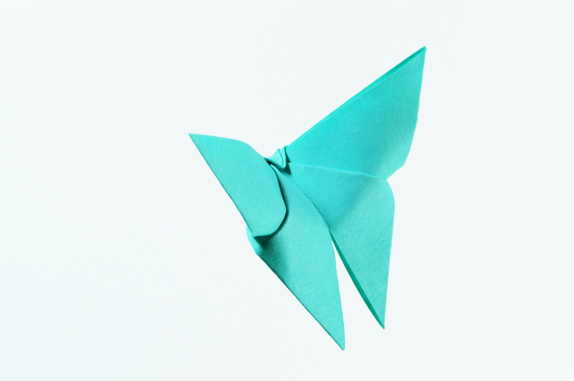 papillon en origami bleu marin sur un fond blanc